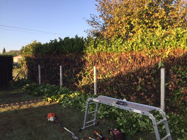 contrat pour tailler une haie