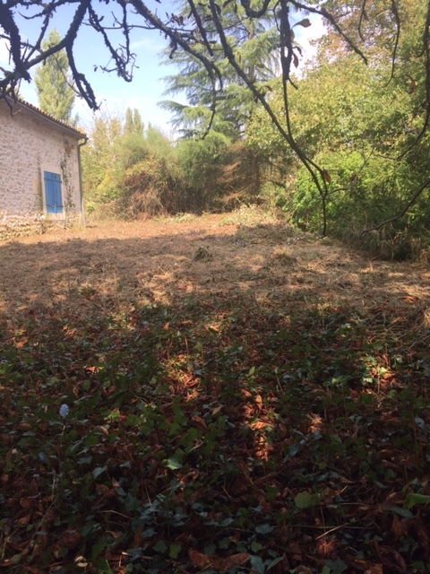 débroussaillage professionnel