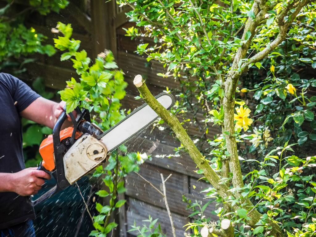 Homme élaguant un arbre avec une tronçonneuse orange et blanche, projetant de la sciure dans un jardin verdoyant fleuri de jaune.