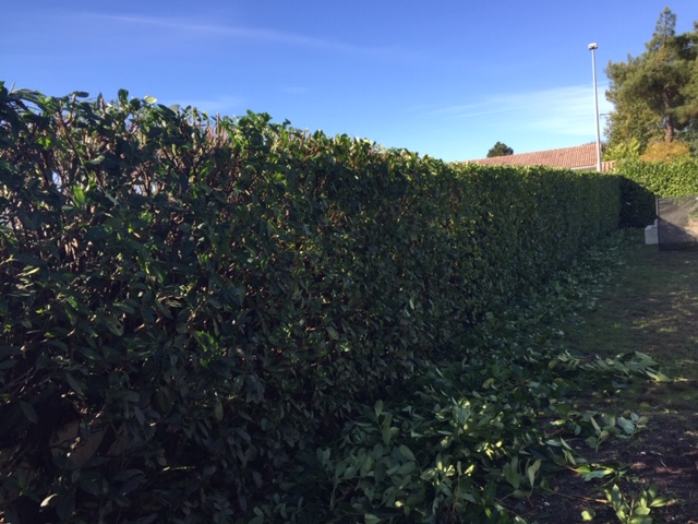 entretien de clôture de jardin