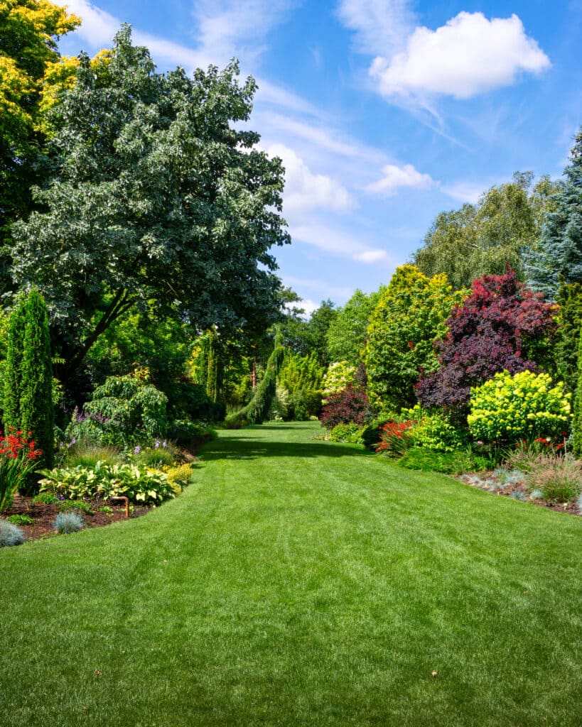 Longue pelouse verte bordée de massifs floraux colorés et d'arbres luxuriants sous un ciel bleu nuageux. Jardin paisible.