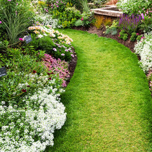 Tonte de pelouse par un jardinier à Cadillac