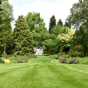 Tonte de gazon par un paysagiste à Cadillac
