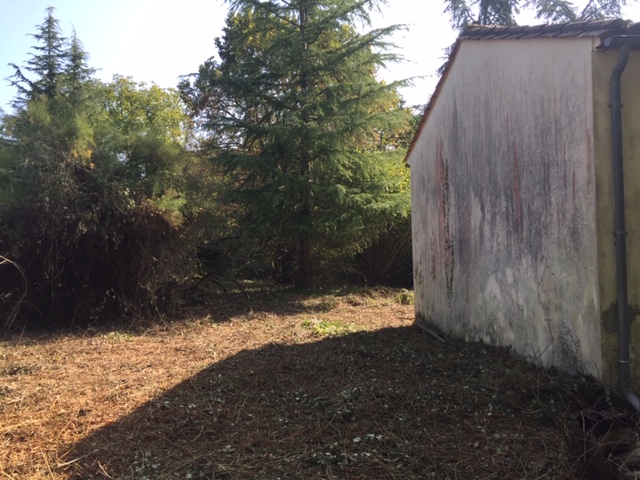 restaurer un jardin en friche